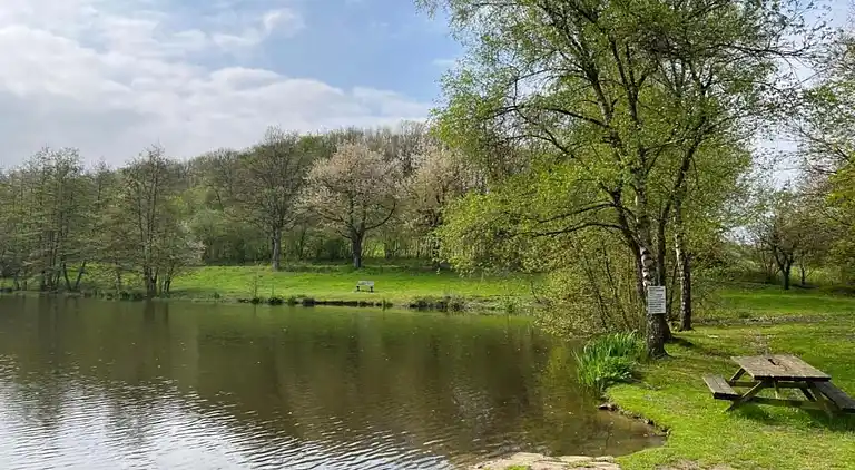 Apartment in Feriendorf Frankenau