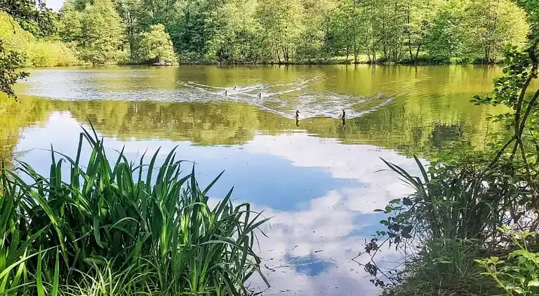 Apartment in Feriendorf Frankenau