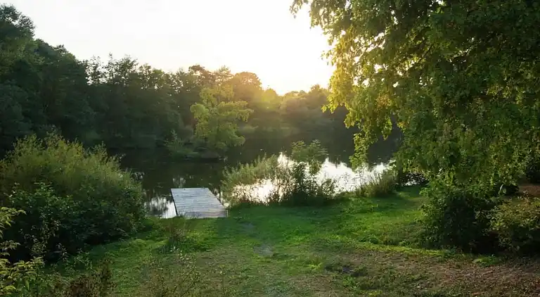 Apartment in Feriendorf Frankenau