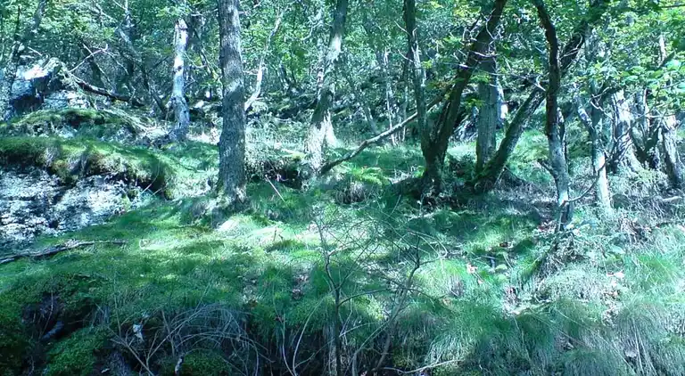 Sommerhus i Pilmeroth