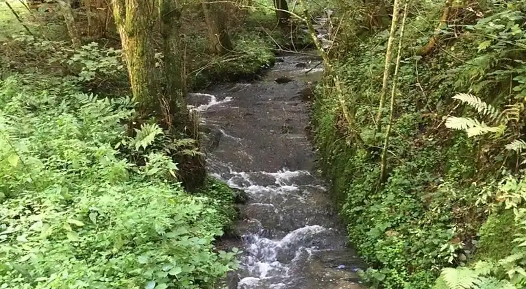 Sommerhus i Pilmeroth