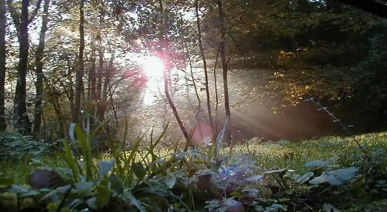 Sommerhus i Pilmeroth