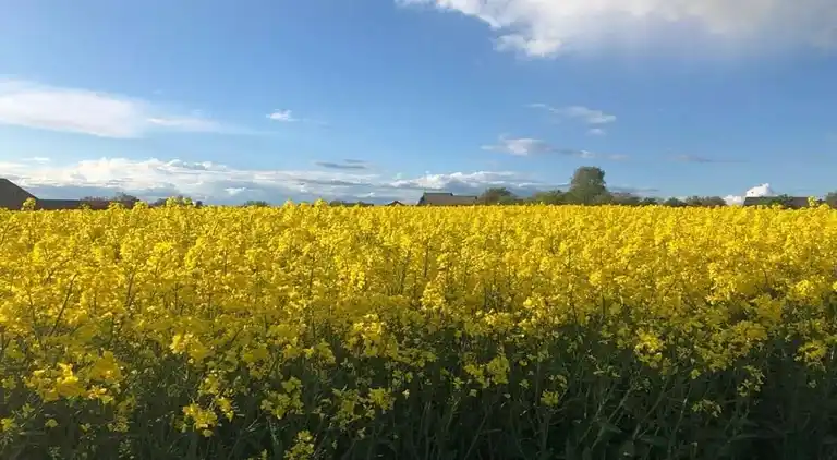 Sommerhus i Pilmeroth