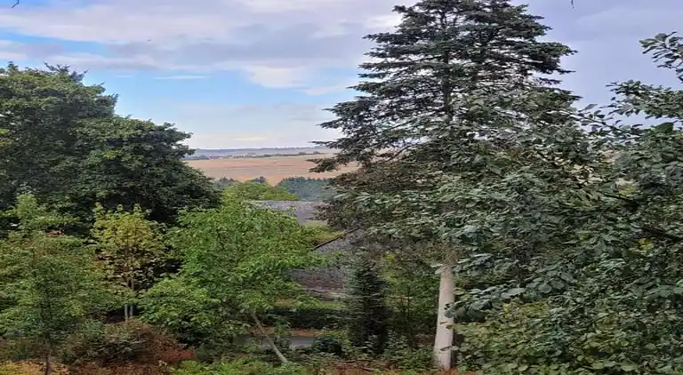 Sommerhus i Pilmeroth