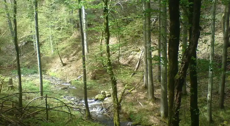 Sommerhus i Pilmeroth