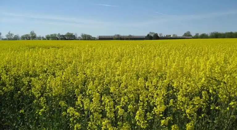 Holiday home in Kolonie