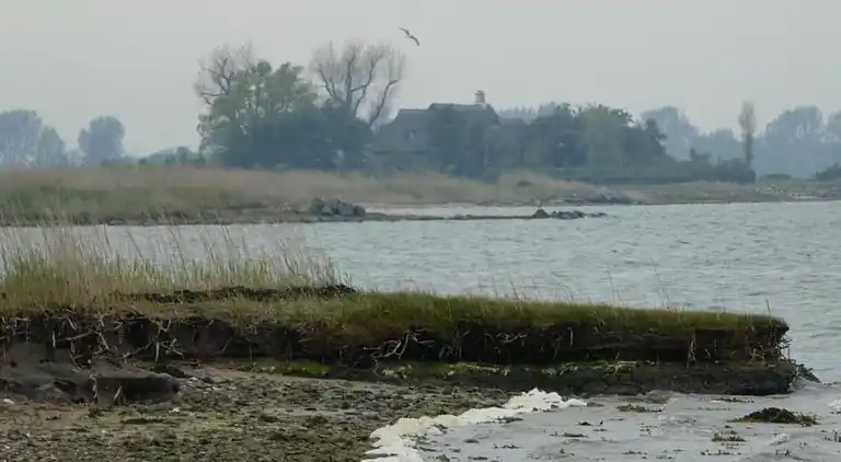 Holiday home in Kolonie