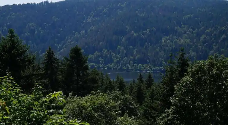 Ferielejlighed i Inner-Urberg