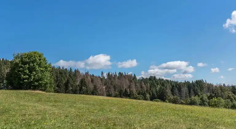 Ferielejlighed i Inner-Urberg