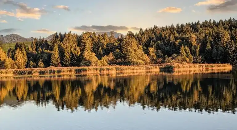 Ferielejlighed i Ried