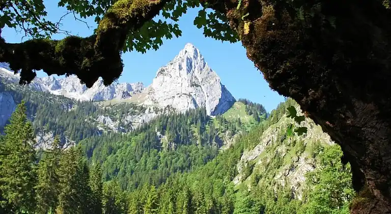 Ferielejlighed i Ried