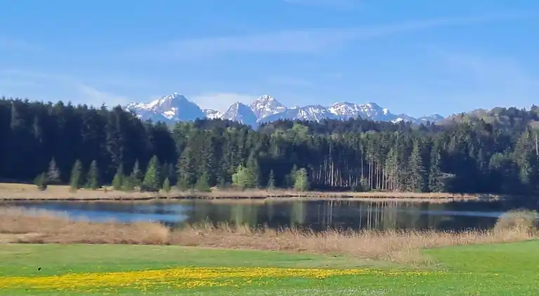 Apartment in Trauchgau