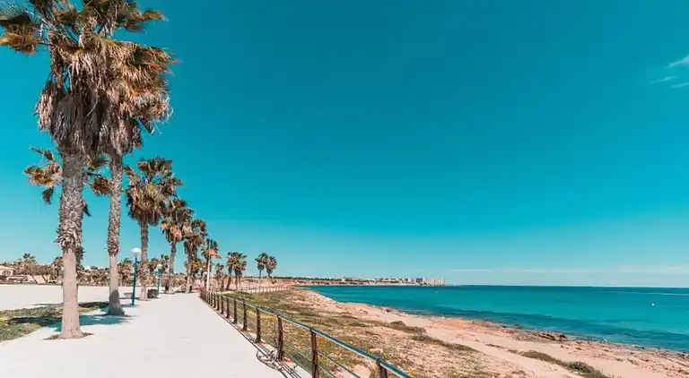 Apartment in Torrevieja