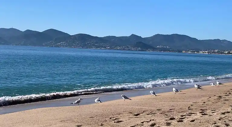 Villa in La Croix des Gardes