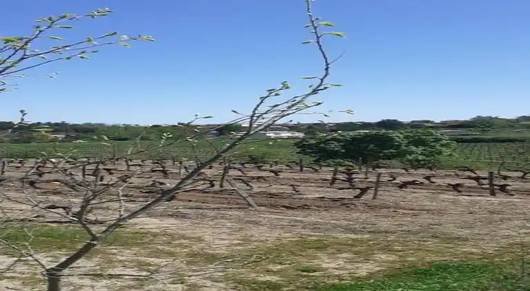 Holiday home in Lablachère