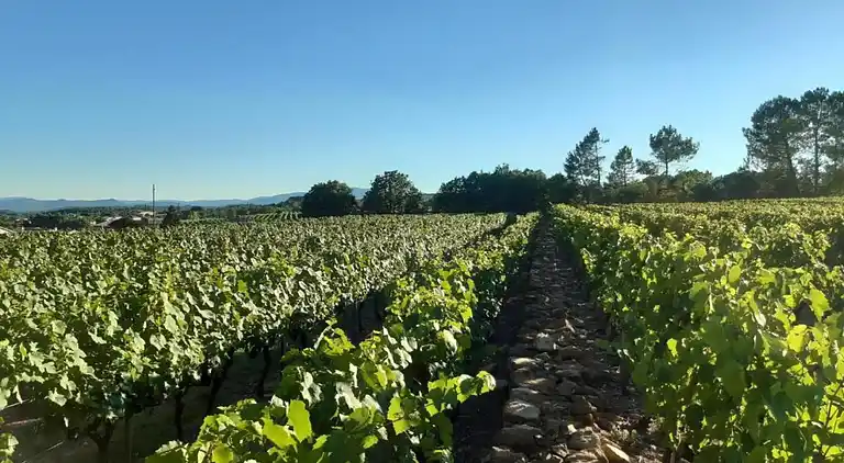 Holiday home in Lablachère