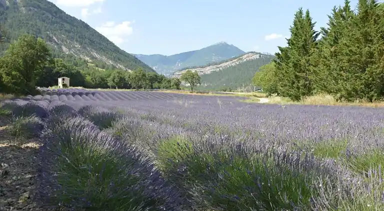 Casa de vacaciones en Die