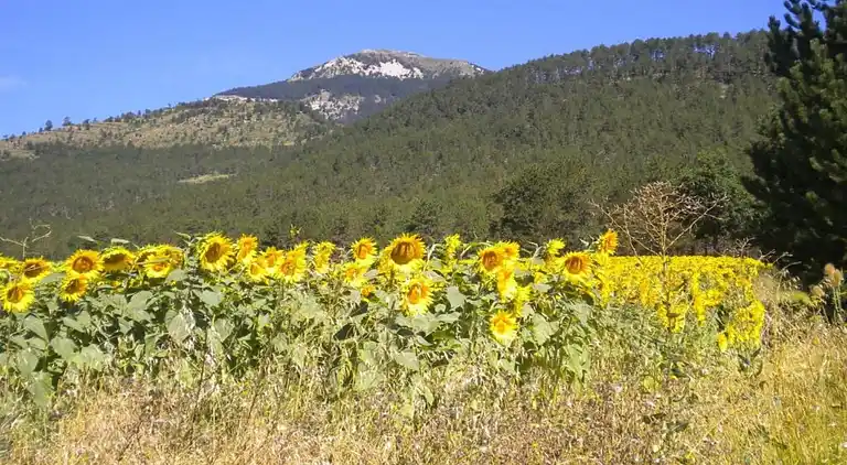 Casa de vacaciones en Die