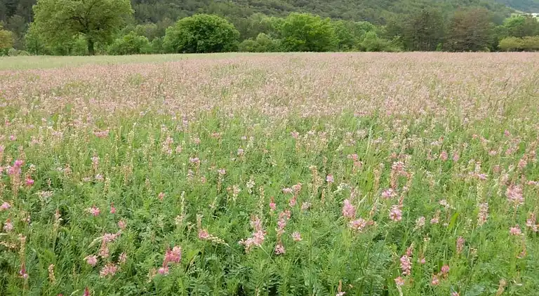 Casa de vacaciones en Die