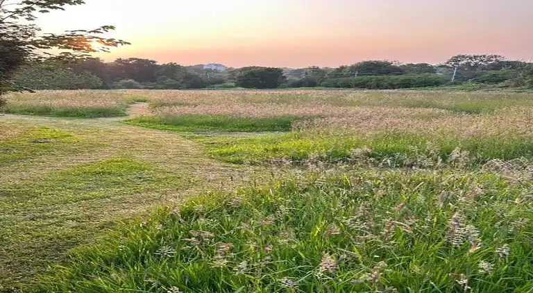 Herregård i Morlaix