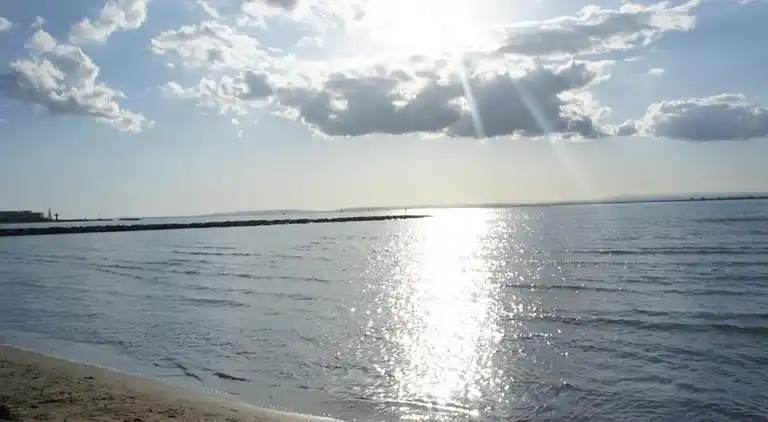 Ferielejlighed i Le Grau-du-Roi