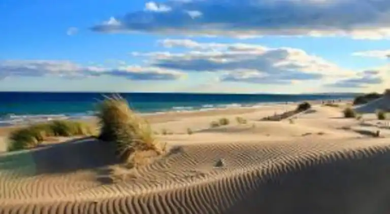 Ferielejlighed i Le Grau-du-Roi