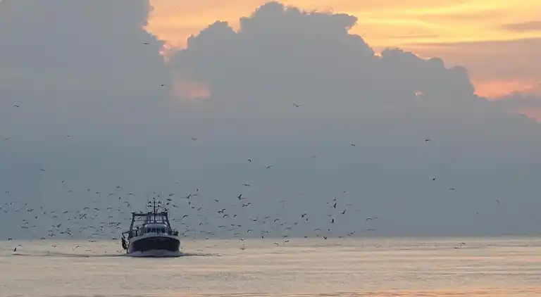 Ferielejlighed i Le Grau-du-Roi