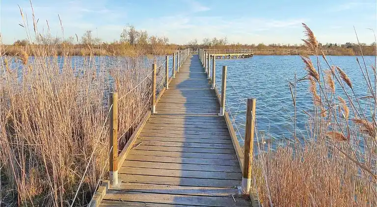 Sommerhus i Occitanie