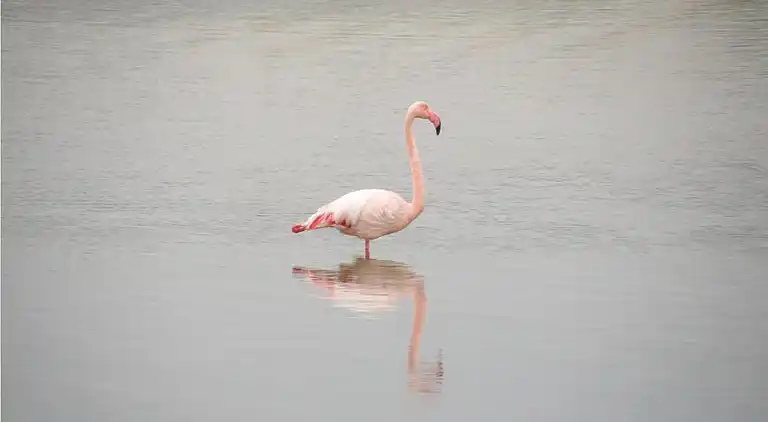 Sommerhus i Occitanie