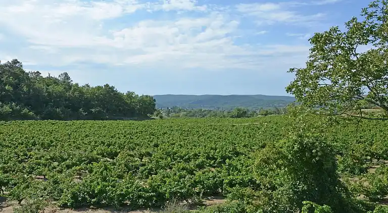 Sommerhus i Occitanie