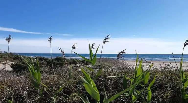 Sommerhus i Occitanie