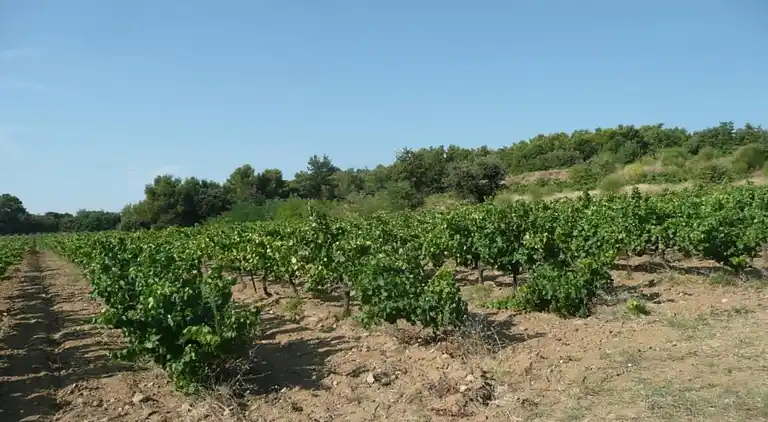 Maison de vacances en Provence