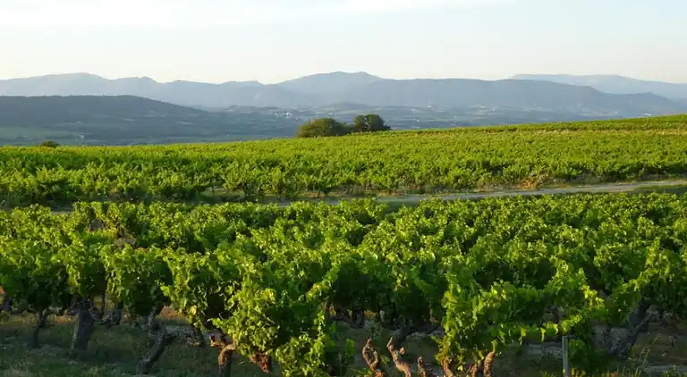 Maison de vacances en Provence