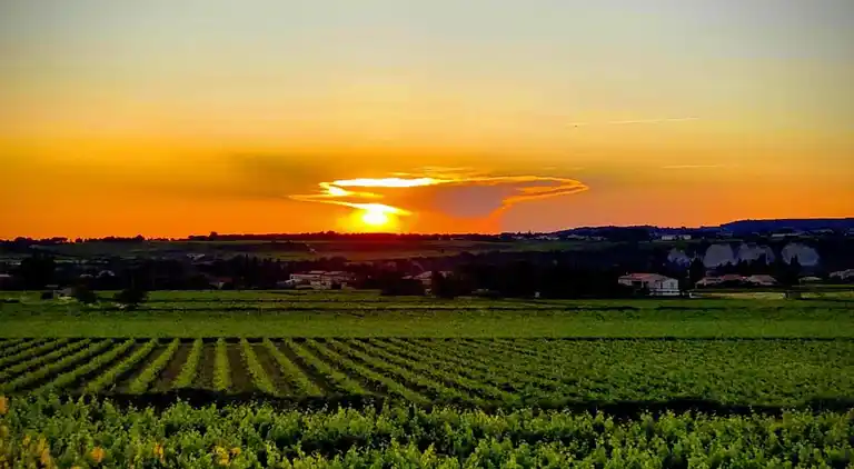 Maison de vacances en Provence