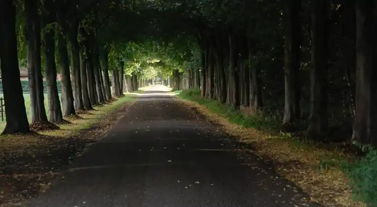 Sommerhus i Musselkanaal