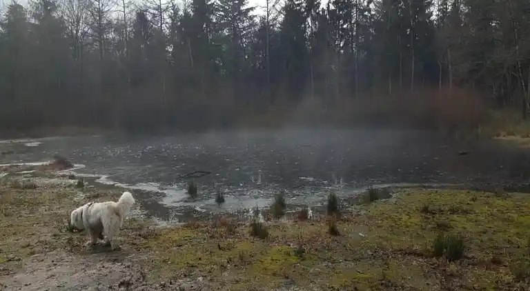 Sommerhus i Musselkanaal