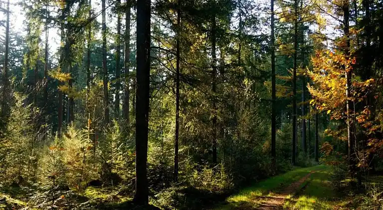 Sommerhus i Musselkanaal