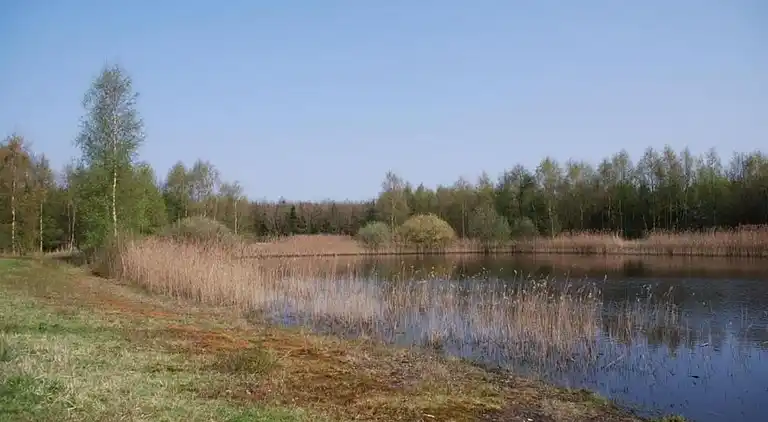 Sommerhus i Musselkanaal