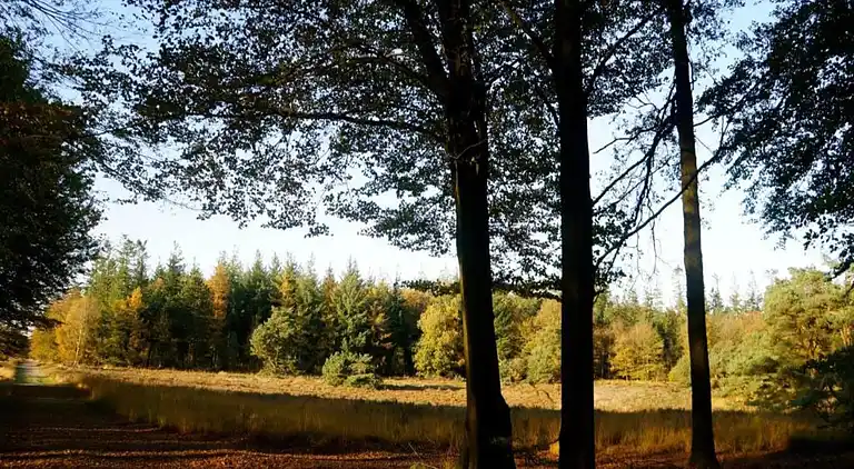 Sommerhus i Musselkanaal