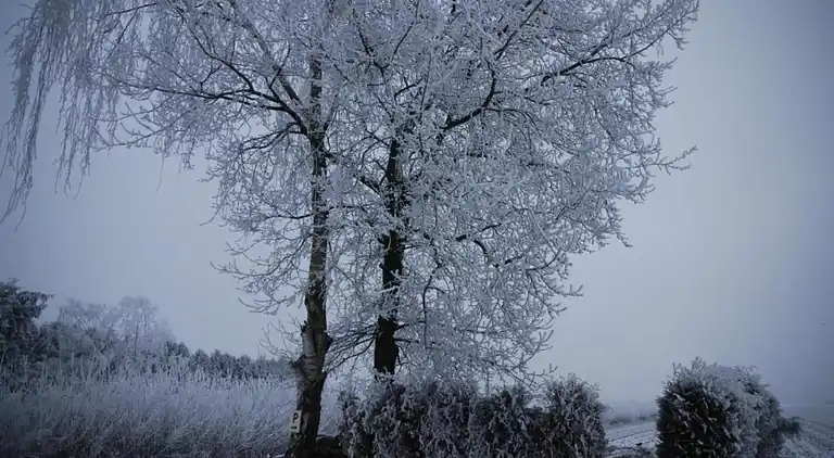 Sommerhus i Musselkanaal