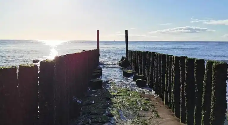 Sommerhus i Breskens