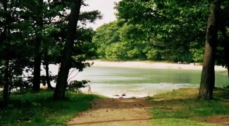Holiday home in Schoonoord