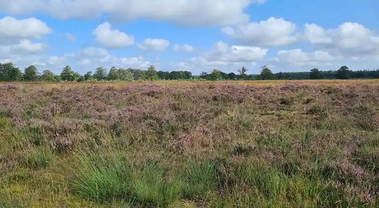 Holiday home in Schoonoord