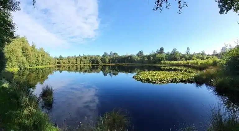 Holiday home in Schoonoord