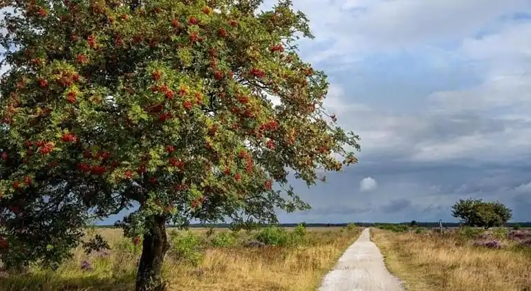 Holiday home in Schoonoord