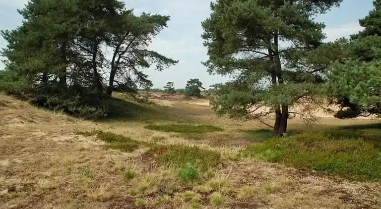 Holiday home in Schoonoord