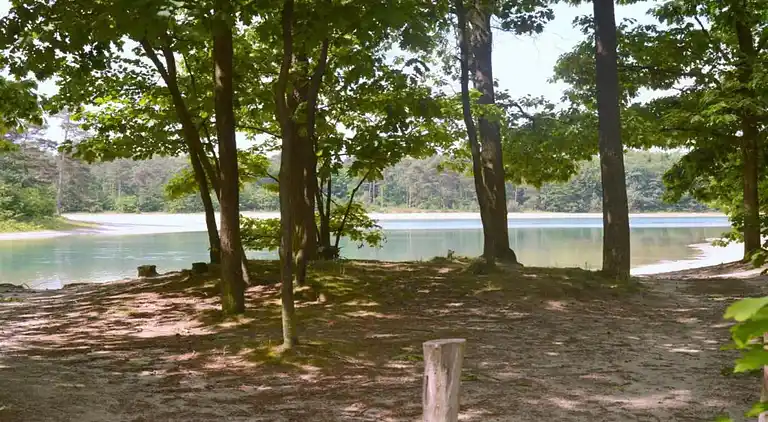 Holiday home in Schoonoord