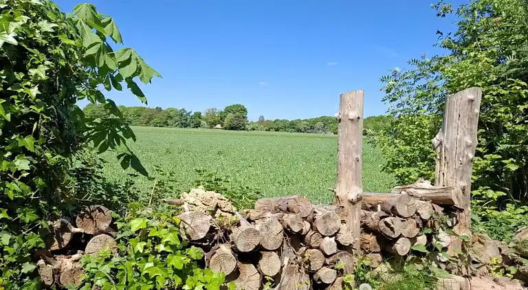 Holiday home in Schoonoord