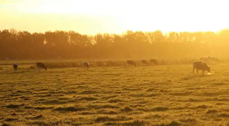 Semesterbostad i Mantinge