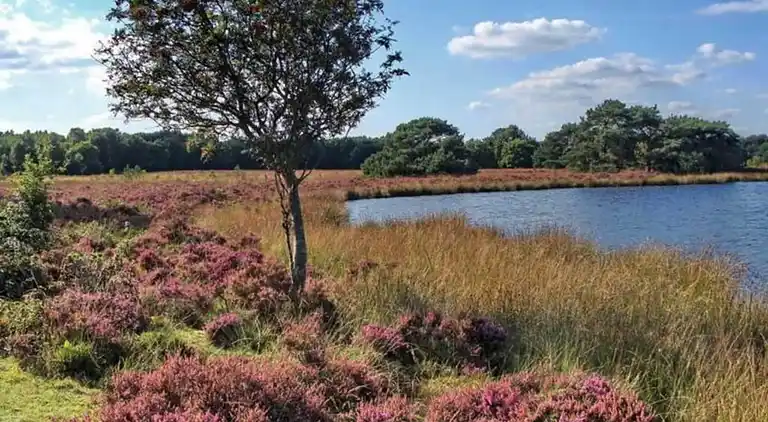 Semesterbostad i Mantinge
